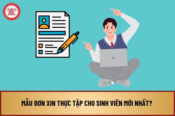 Mẫu đơn xin thực tập cho sinh viên mới nhất? Chú ý quan trọng khi viết đơn xin thực tập là gì?