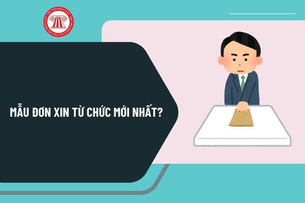 Mẫu đơn xin từ chức mới nhất? Tải đơn xin từ chức ở đâu? Hướng dẫn viết đơn xin từ chức như thế nào?