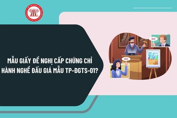 Mẫu giấy đề nghị cấp Chứng chỉ hành nghề đấu giá Mẫu TP-ĐGTS-01 theo Thông tư 19/2024/TT-BTP như thế nào?