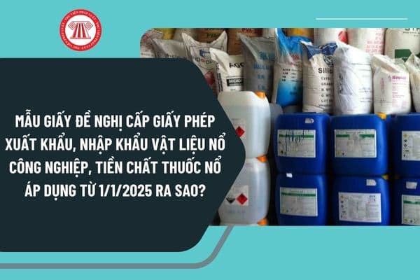 Mẫu giấy đề nghị cấp giấy phép xuất khẩu, nhập khẩu vật liệu nổ công nghiệp, tiền chất thuốc nổ áp dụng từ 1/1/2025 ra sao?