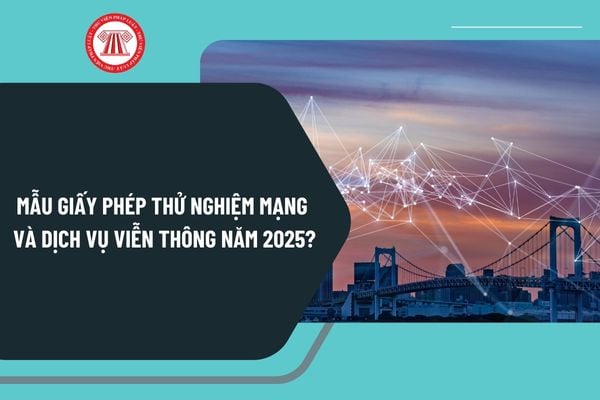 Mẫu giấy phép thử nghiệm mạng và dịch vụ viễn thông năm 2025? Tải mẫu giấy phép thử nghiệm mạng và dịch vụ viễn thông?