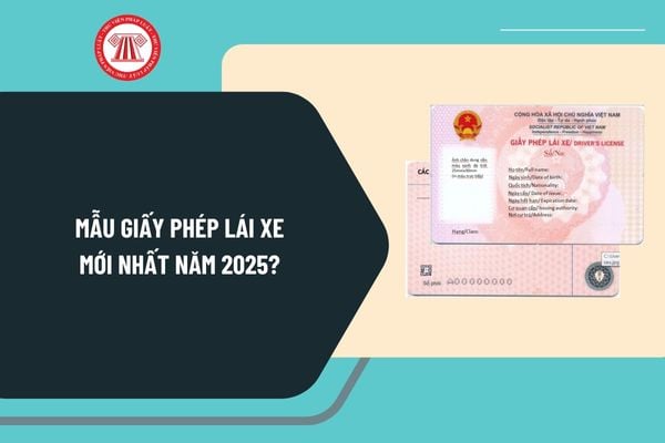 Mẫu giấy phép lái xe mới nhất 2025? Hình ảnh giấy phép lái xe mới nhất 2025 theo Thông tư 12 như thế nào?