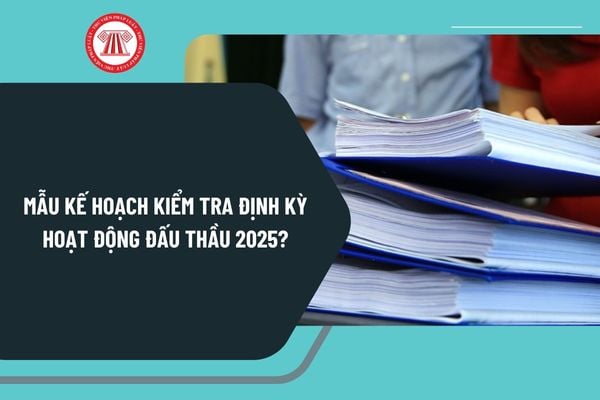 Mẫu kế hoạch kiểm tra định kỳ hoạt động đấu thầu 2025 theo Mẫu số 4.1A Thông tư 23/2024/TT-BKHĐT như thế nào?