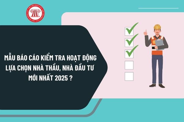 Mẫu báo cáo kiểm tra hoạt động lựa chọn nhà thầu, nhà đầu tư mới nhất 2025 theo Thông tư 23/2024/TT-BKHĐT như thế nào?