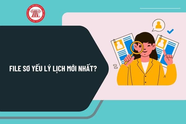 File sơ yếu lý lịch mới nhất? Tải file mẫu sơ yếu lý lịch mới nhất ở đâu? Hướng dẫn viết mẫu sơ yếu lý lịch như thế nào?