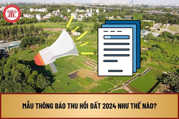 Mẫu Thông báo thu hồi đất 2024 như thế nào? Tải về mẫu Thông báo thu hồi đất năm 2024 ở đâu?