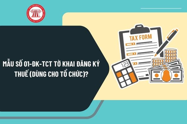 Mẫu tờ khai đăng ký thuế 01-ĐK-TCT dùng cho tổ chức mới nhất áp dụng từ ngày 6/2/2025 như thế nào?