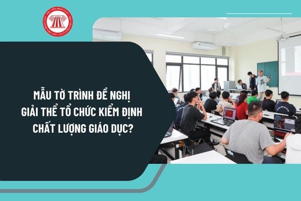 Mẫu tờ trình đề nghị giải thể tổ chức kiểm định chất lượng giáo dục mới nhất theo Nghị định 125 như thế nào?