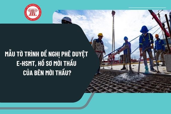 Mẫu Tờ trình đề nghị phê duyệt E HSMT, hồ sơ mời thầu của bên mời thầu tại Phụ lục 1B theo Thông tư 22/2024 thay thế Thông tư 06/2024?