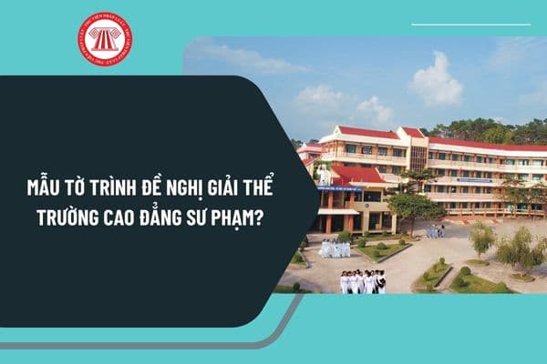 Mẫu tờ trình đề nghị giải thể trường cao đẳng sư phạm mới nhất? Tải mẫu tờ trình đề nghị giải thể trường cao đẳng sư phạm?