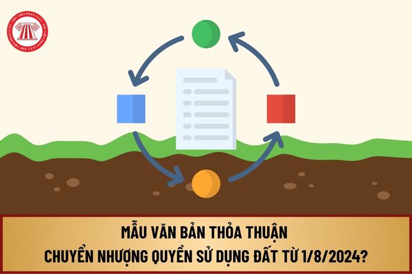 Mẫu văn bản thỏa thuận chuyển nhượng quyền sử dụng đất từ 1/8/2024 theo Nghị định 98/2024/NĐ-CP như thế nào?