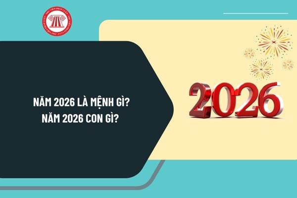 Năm 2026 là mệnh gì? Năm 2026 con gì? Tết Âm lịch 206 vào ngày mấy dương lịch? Năm 2026 có bao nhiêu ngày?