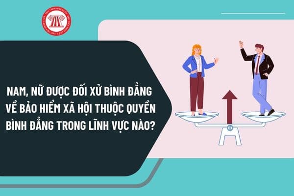 Theo Luật Bình đẳng giới 2006, nam, nữ được đối xử bình đẳng về bảo hiểm xã hội thuộc quyền bình đẳng trong lĩnh vực nào?