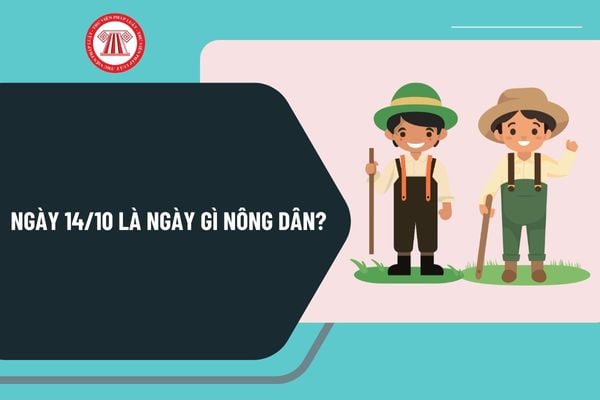 Ngày 14 10 là ngày gì nông dân? Ngày 14 10 2024 là thứ mấy trong tuần? Ngày 14 10 2024 là ngày mấy âm lịch?