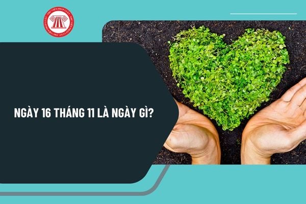 Ngày 16 tháng 11 là ngày gì? Ngày 16 tháng 11 năm 2024 là ngày mấy âm lịch? Ngày 16 tháng 11 năm 2024 là thứ mấy?