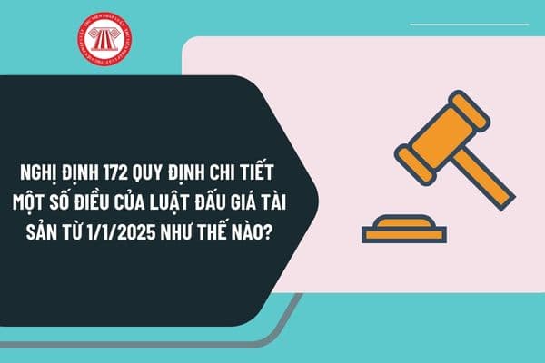 Nghị định 172 quy định chi tiết một số điều của Luật Đấu giá tài sản từ ngày 1/1/2025 như thế nào?