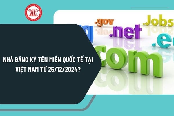 Nhà đăng ký tên miền quốc tế tại Việt Nam từ 25/12/2024 được quy định như thế nào theo Nghị định 147?