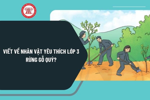 Viết về nhân vật yêu thích lớp 3 Rừng gỗ quý? Viết đoạn văn kể về ông lão trong câu chuyện Rừng gỗ quý lớp 3?