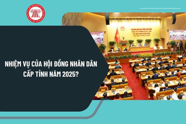 Nhiệm vụ của Hội đồng nhân dân cấp tỉnh năm 2025? Quyền hạn của Hội đồng nhân dân cấp tỉnh năm 2025 ra sao?