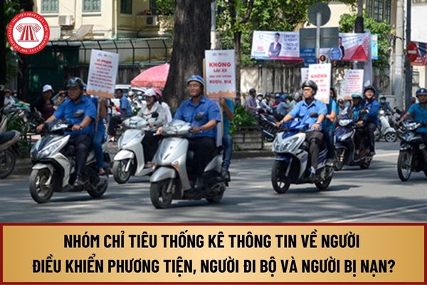 Nhóm chỉ tiêu thống kê thông tin về người điều khiển phương tiện, người đi bộ và người bị nạn từ 15/8/2024 như thế nào?