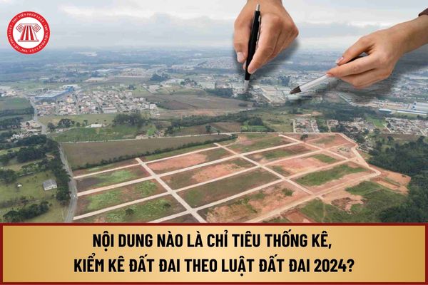 Nội dung nào là chỉ tiêu thống kê, kiểm kê đất đai theo quy định tại Điều 58 Luật Đất đai năm 2024?