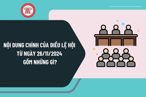 Nội dung chính của điều lệ hội từ ngày 26/11/2024 gồm những gì? Thời gian đại hội thành lập là khi nào?