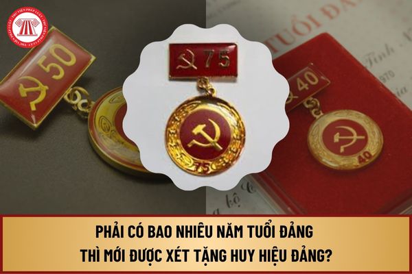 Phải có bao nhiêu năm tuổi Đảng thì mới được xét tặng Huy hiệu Đảng? Tiêu chuẩn, đối tượng tặng Huy hiệu Đảng ra sao?