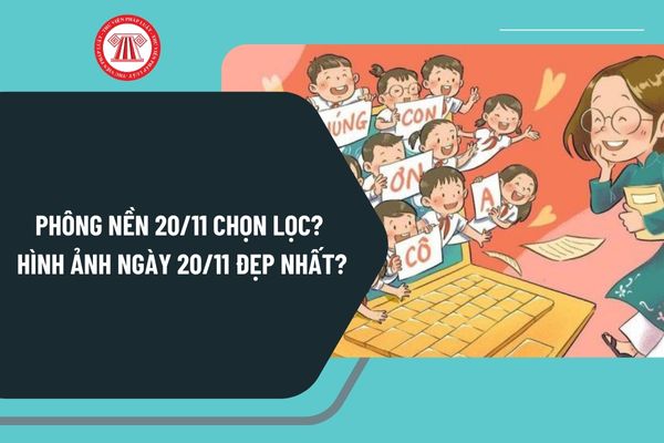 Phông nền 20 11 chọn lọc? Hình ảnh ngày 20 11 đẹp nhất? Tải mẫu background 20 11 Ngày Nhà giáo Việt Nam?