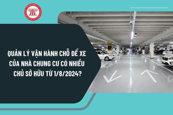 Quản lý vận hành chỗ để xe của nhà chung cư có nhiều chủ sở hữu từ ngày 1/8/2024 quy định như thế nào?