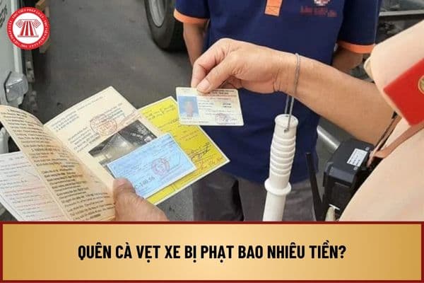 Quên cà vẹt xe bị phạt bao nhiêu tiền? Có bắt buộc phải mang theo cà vẹt xe khi điều khiển phương tiện giao thông không?