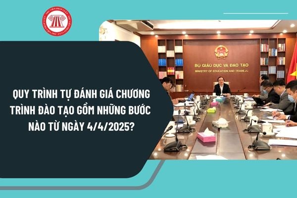 Quy trình tự đánh giá chương trình đào tạo giáo dục đại học gồm những bước nào từ ngày 4/4/2025?