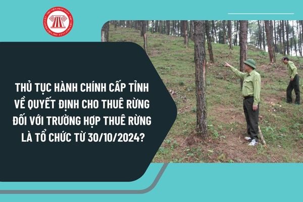 Thủ tục hành chính cấp tỉnh về quyết định cho thuê rừng đối với trường hợp thuê rừng là tổ chức từ 30/10/2024 ra sao?