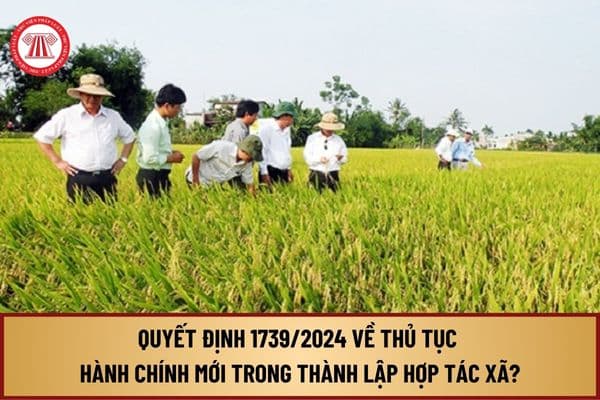 Đã có Quyết định 1739 năm 2024 về thủ tục hành chính mới trong thành lập, hoạt động của tổ hợp tác, hợp tác xã như thế nào?