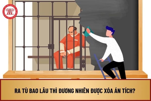 Ra tù bao lâu thì đương nhiên được xóa án tích? Các trường hợp nào đương nhiên được xóa án tích?