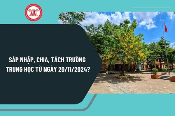 Sáp nhập, chia, tách trường trung học từ ngày 20/11/2024 trình tự thực hiện theo Nghị định 125 như thế nào?