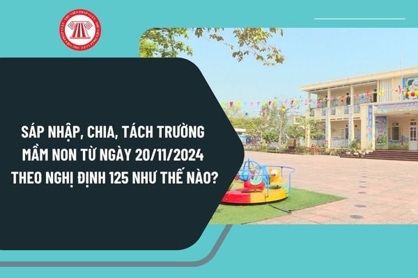 Sáp nhập, chia, tách trường mầm non từ ngày 20/11/2024 theo Nghị định 125 thực hiện như thế nào?