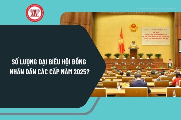 Số lượng đại biểu Hội đồng nhân dân các cấp năm 2025? Nhiệm vụ, quyền hạn của Thường trực Hội đồng nhân dân thế nào?