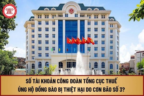 Số tài khoản Công đoàn Tổng cục Thuế ủng hộ đồng bào bị thiệt hại do cơn bão số 3 là gì? Thời gian huy động ủng hộ bao lâu?