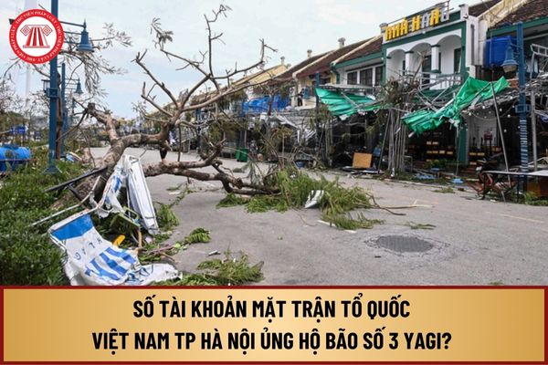 Số tài khoản Mặt trận Tổ quốc Việt Nam TP Hà Nội ủng hộ bão số 3 YAGI? Ủng hộ tiền mặt trực tiếp ở địa chỉ nào tại Hà Nội?