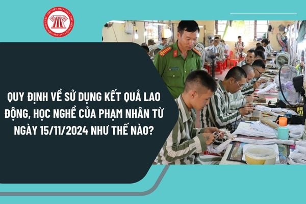 Quy định về sử dụng kết quả lao động, học nghề của phạm nhân từ ngày 15/11/2024 như thế nào?