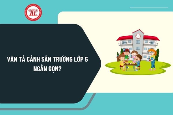 Văn tả cảnh sân trường lớp 5 ngắn gọn? Viết 1 đoạn văn tả cảnh sân trường lớp 5 ngắn gọn hay nhất?