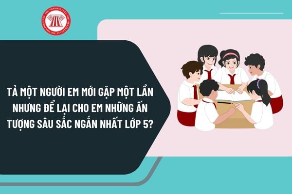 Tả một người em mới gặp một lần nhưng để lại cho em những ấn tượng sâu sắc ngắn nhất lớp 5?