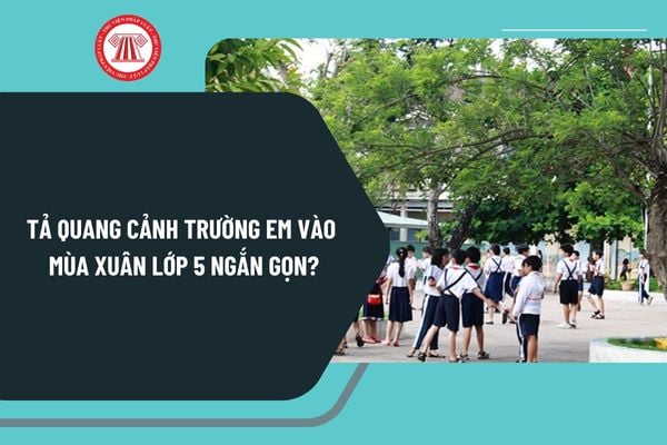 Tả quang cảnh trường em vào mùa xuân lớp 5 ngắn gọn? Mẫu bài tả quang cảnh trường em vào mùa xuân lớp 5 hay nhất?