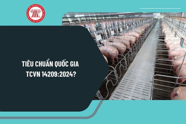 Tiêu chuẩn quốc gia TCVN 14209:2024 về quy mô chăn nuôi và các hạng mục của trại nuôi lợn nhiều tầng ra sao?