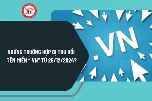 Những trường hợp bị thu hồi tên miền vn từ ngày 25/12/2024 theo Nghị định 147 quy định như thế nào?