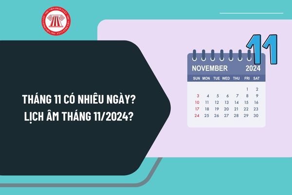 Tháng 11 có nhiêu ngày? Lịch âm tháng 11 2024 ra sao? Tháng 11 có những ngày lễ nào ở Việt Nam?