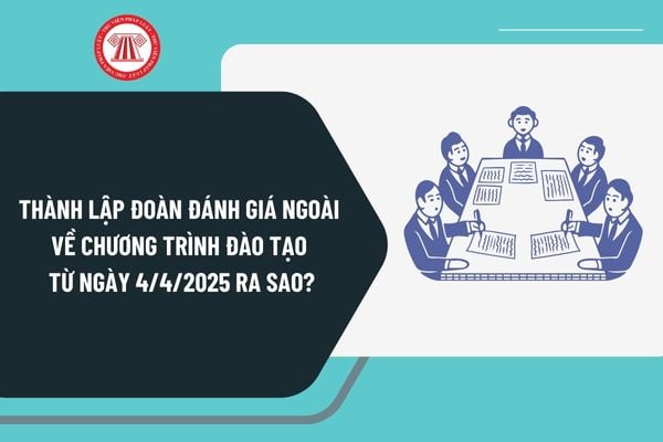 Thành lập đoàn đánh giá ngoài chương trình đào tạo các trình độ của giáo dục đại học từ ngày 4/4/2025 ra sao?