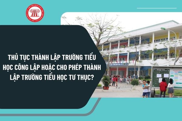 Thủ tục thành lập trường tiểu học công lập hoặc cho phép thành lập trường tiểu học tư thục từ ngày 20/11/2024 thế nào?