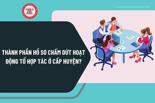 Thành phần hồ sơ chấm dứt hoạt động tổ hợp tác ở cấp huyện từ ngày 13/8/2024? Cách thức thực hiện thủ tục như thế nào?