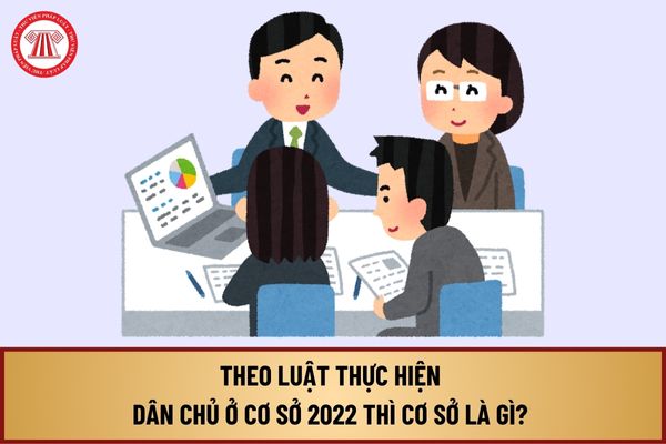 Theo Luật Thực hiện dân chủ ở cơ sở 2022 thì Cơ sở là gì? Nguyên tắc thực hiện dân chủ ở cơ sở ra sao?